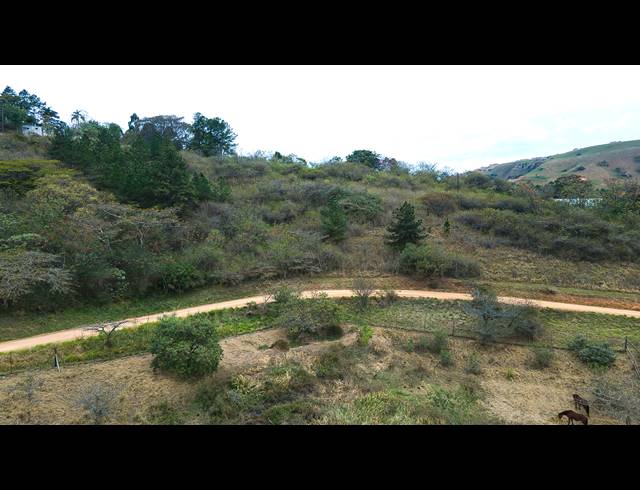 15,350M² VACANT LAND FOR SALE IN PEACEVALE